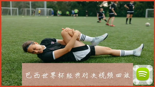 巴西世界杯经典对决视频回放