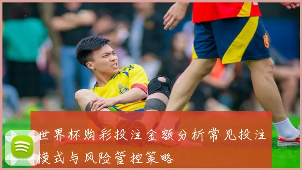世界杯购彩投注金额分析常见投注模式与风险管控策略