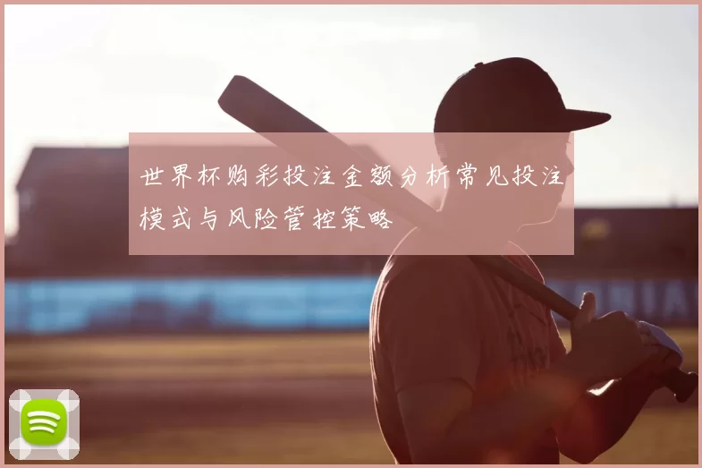 世界杯购彩投注金额分析常见投注模式与风险管控策略