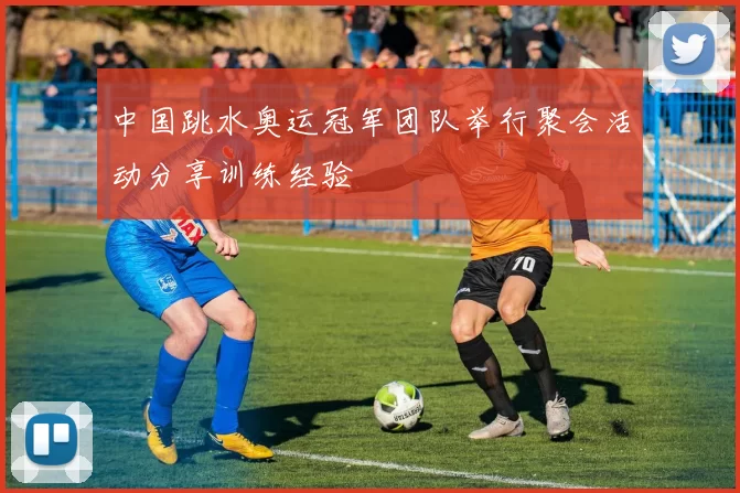 中国跳水奥运冠军团队举行聚会活动分享训练经验