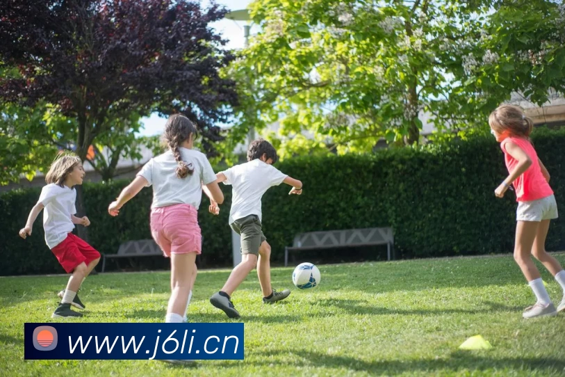 九游官方端网站 - 九游online(中国)发展历程